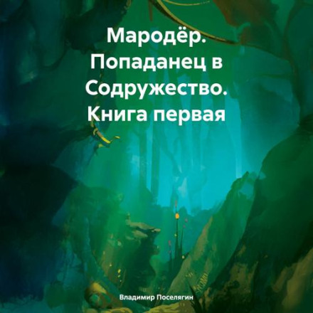 Мародер. Попаданець у Співдружність. Книга перша