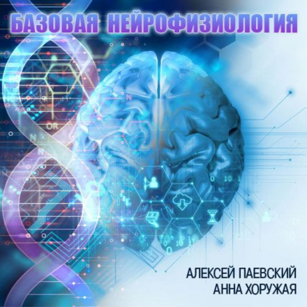 Базова нейрофізіологія