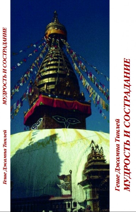 Wisdom and Compassion. Meditation on Generating Equanimity