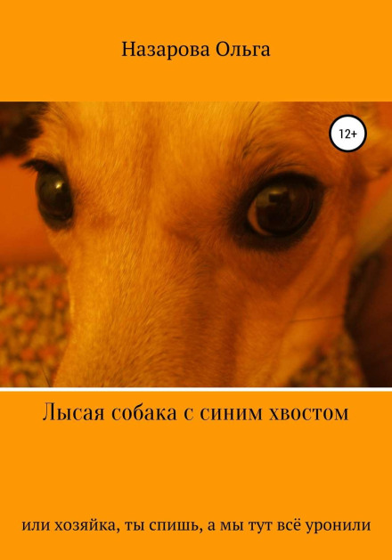 A Bald Dog with a Blue Tail, or Owner, You're Asleep While We've Knocked Everything Over!