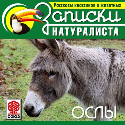 Classic Stories About Animals. Donkeys