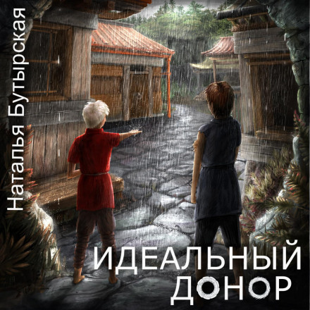 Ідеальний донор