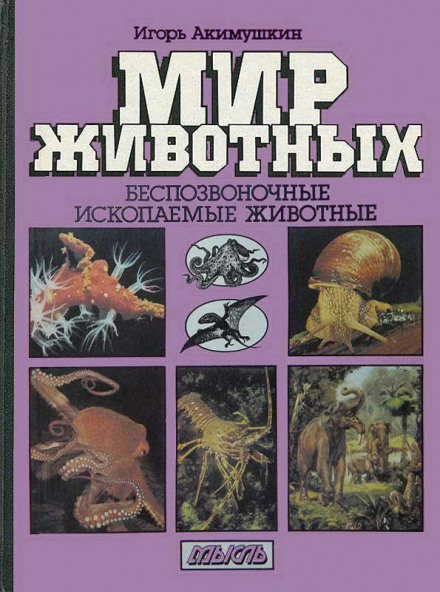Invertebrates. Fossil Animals