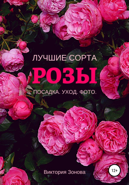 Троянди. Найкращі сорти