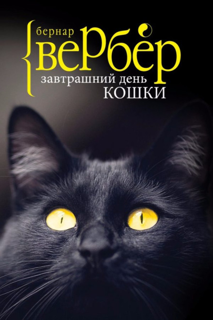 Завтрашній день кішки