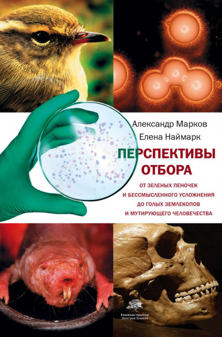 Prospects of Selection: From Greenish Warblers and Pointless Complexification to Naked Mole Rats and Mutating Humanity