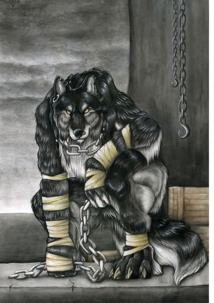 The Solitude of the Old Wolf