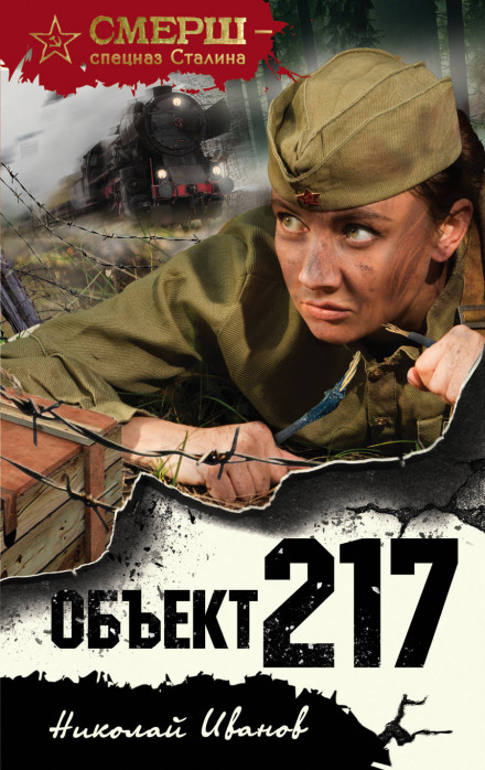 Object 217
