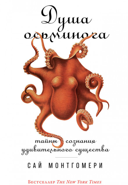 The Soul of an Octopus: A Surprising Exploration into the Wonder of Consciousness