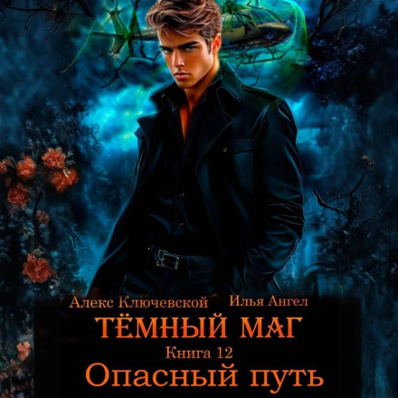The Dark Mage. Book 12. A Dangerous Path