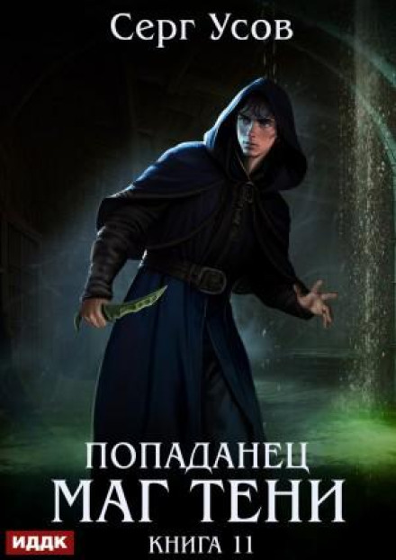 The Isekai Mage of Shadows. Book 11