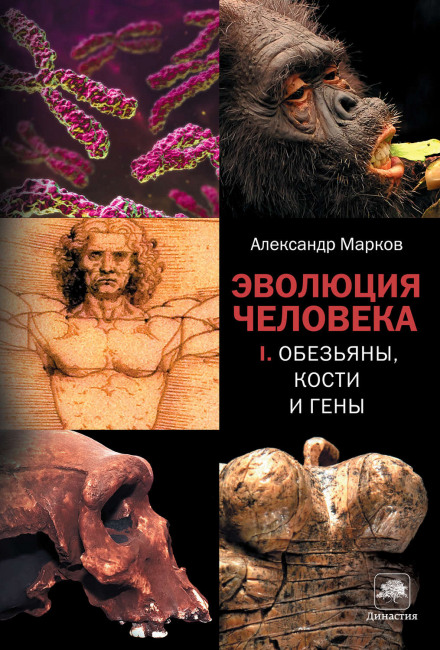 Monkeys, Bones, and Genes