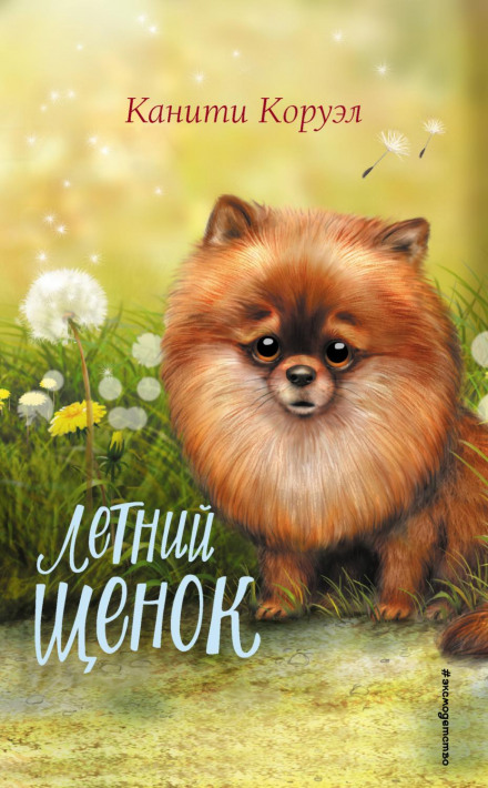 The Summer Puppy