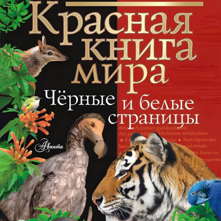 The Red Book of the World: Black and White Pages