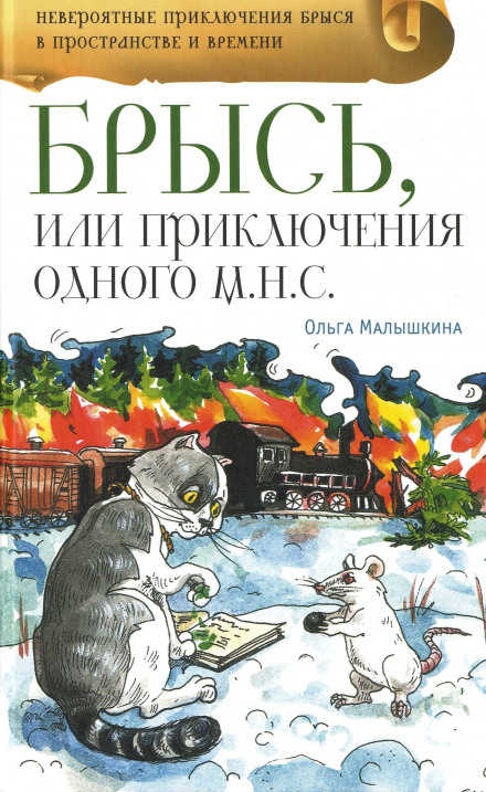 Брись, або Пригоди одного м.н.с.