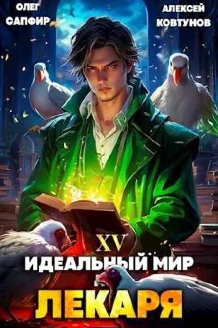 A Perfect World for the Healer 15