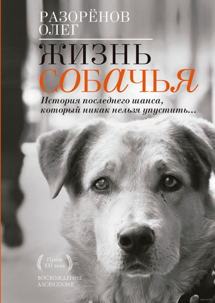A Dog's Life
