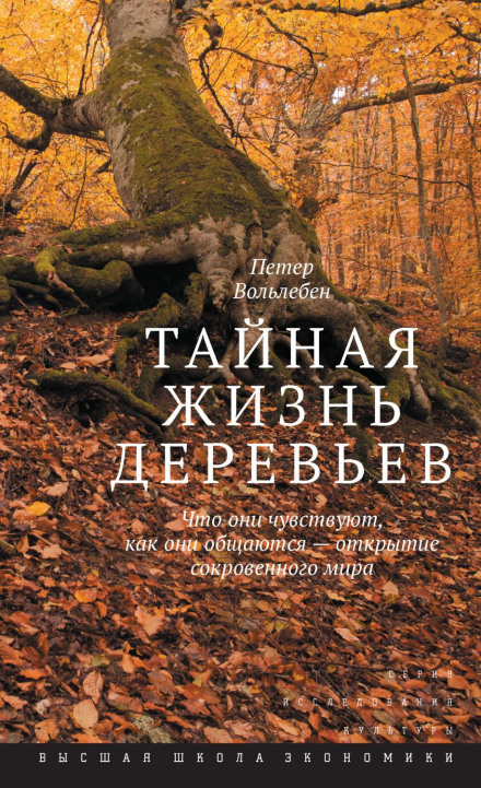 The Hidden Life of Trees: What They Feel, How They Communicate