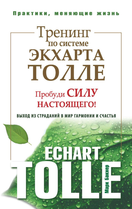 Training in the Eckhart Tolle System. Awaken the Power of Now! From Suffering to a World of Harmony and Happiness