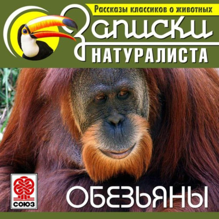 Оповідання класиків про тварин. Мавпи
