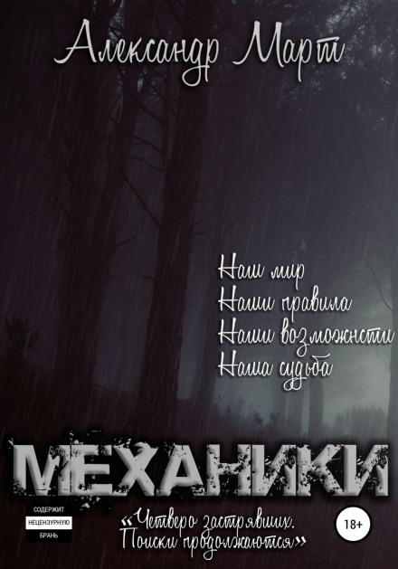 Механіки. Четверо застряглих. Пошуки тривають