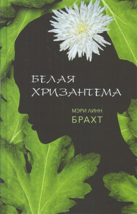 Біла хризантема