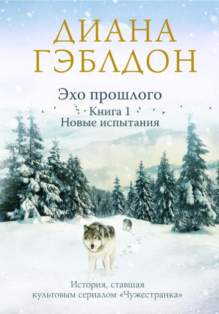 Echo of the Past. Book 1. New Trials