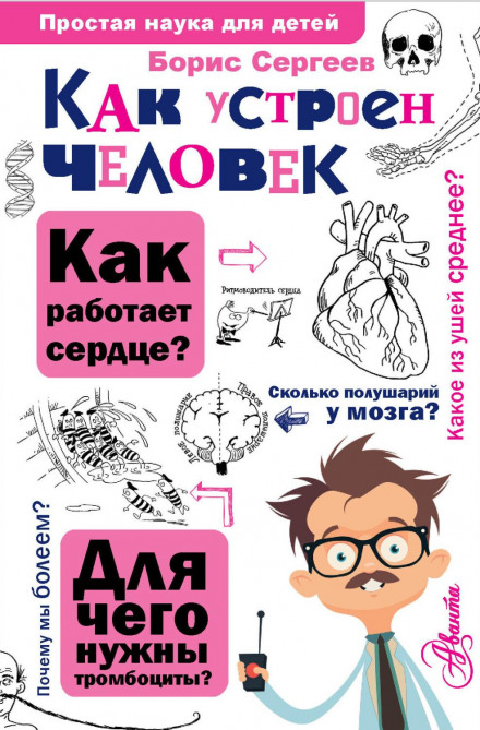 Як влаштована людина