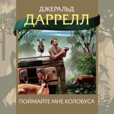 Спіймайте мені колобуса