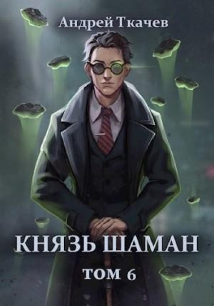 Князь шаман. Книга 6
