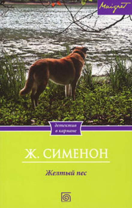 Жовтий пес