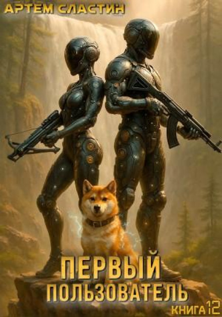 Перший користувач. Книга 12