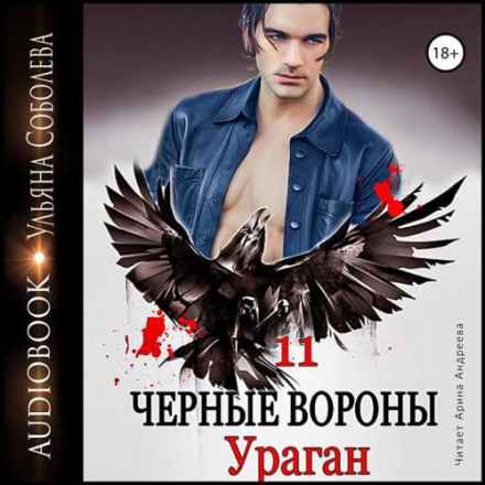 Black Ravens. Book 11. Hurricane