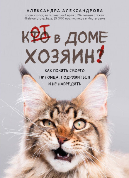 The Cat Is the Master of the House! How to Understand Your Pet, Make Friends and Not Cause Harm