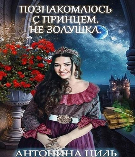 Looking for a Prince. Not Cinderella