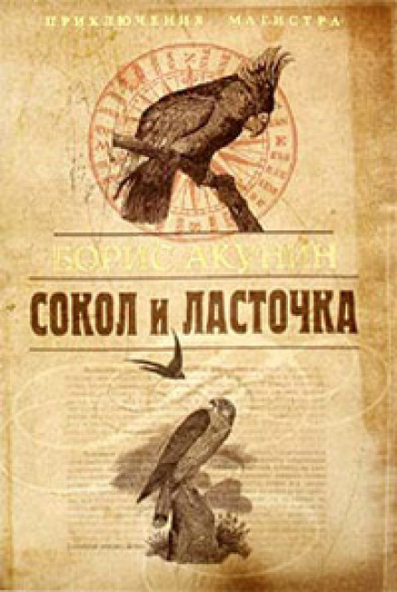 Сокіл і Ластівка