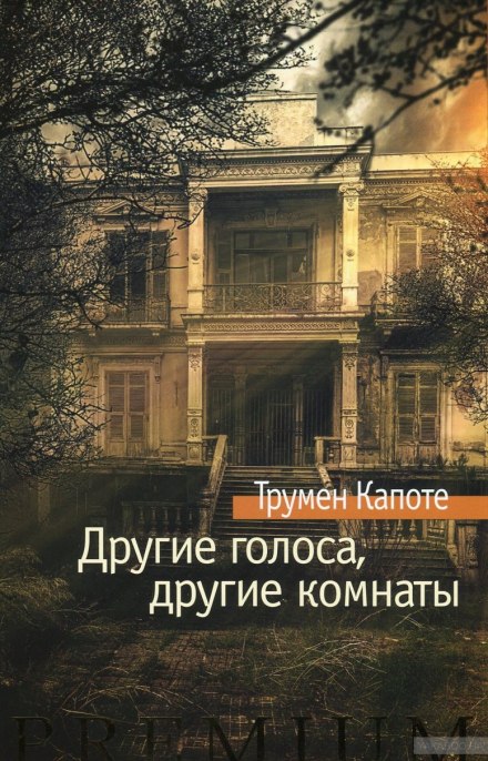 Other Voices, Other Rooms