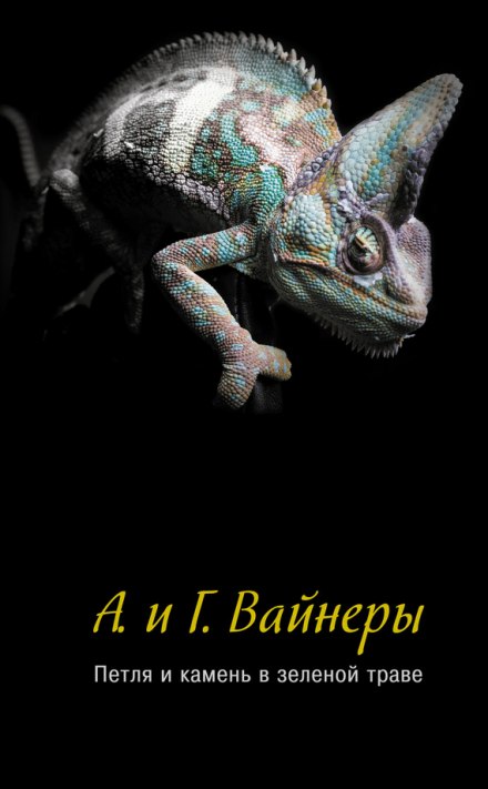 Петля і камінь у зеленій траві
