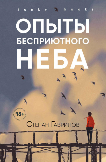Experiences of a Shelterless Sky
