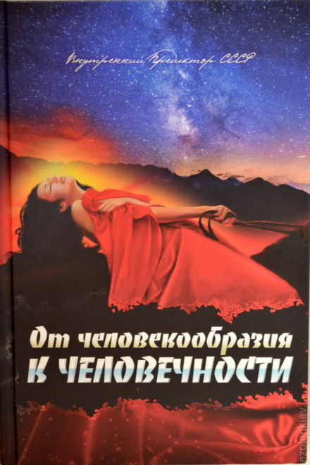 From Human Likeness to Humanity