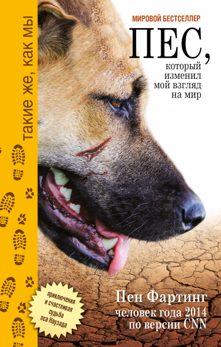 A Dog Called Displaced