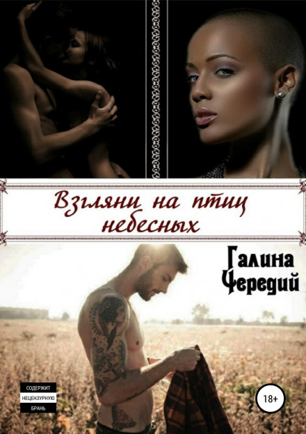 Поглянь на птахів небесних