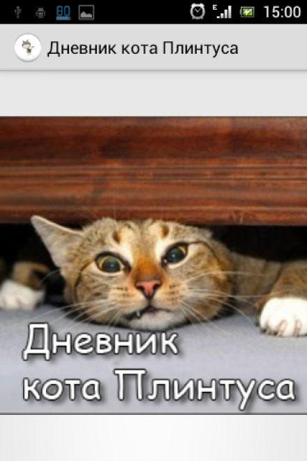 Notes of the Cat Plintus