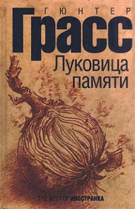 Цибулина пам'яті
